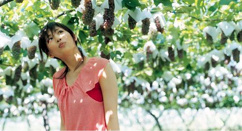 我買是了解是什么歌